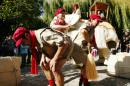 les cornaqueurs 7 * 4272 x 2848 * (4.93MB)